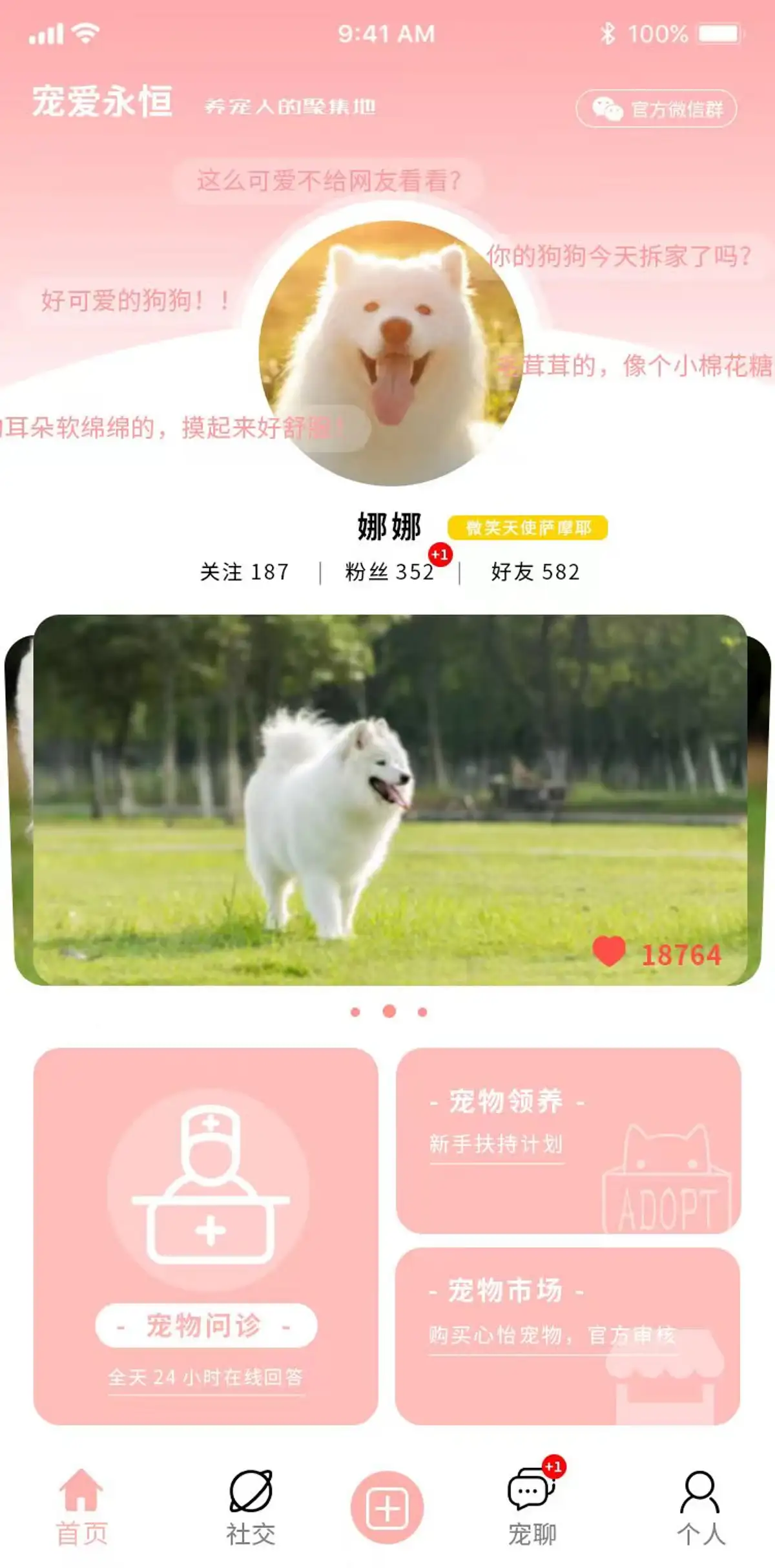 宠物领养小程序